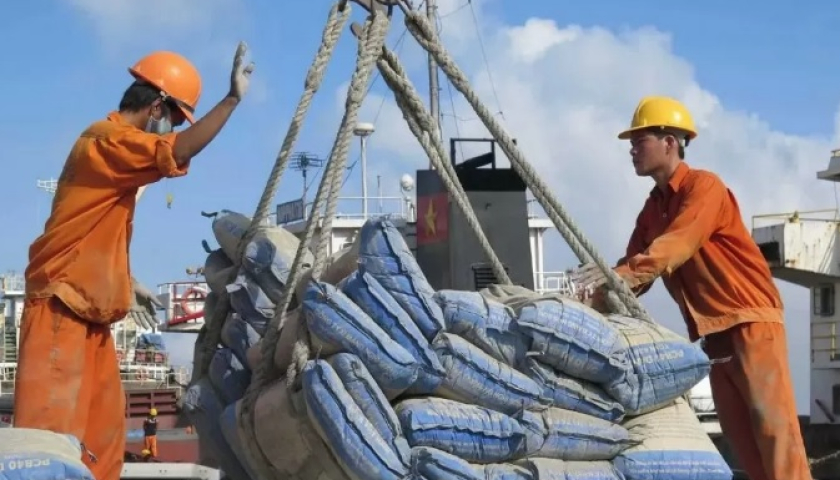 Thị trường xuất khẩu: Tìm hiểu sự phân bố